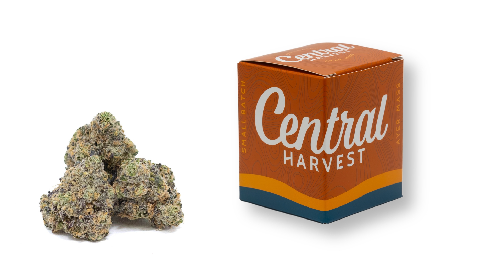 Sour Marker is a Hybrid Cannabis Strain grown and packaged at Central Harvest