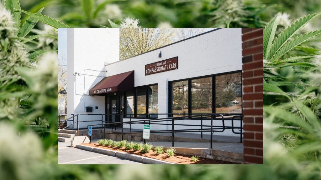 Cannabis Strains for Medical Patients
