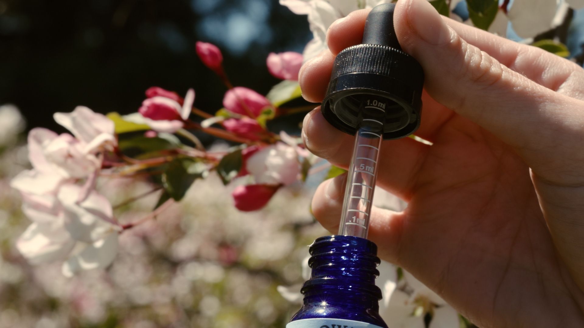 Cannabis tincture bottle and dropper for medical cannabis patients